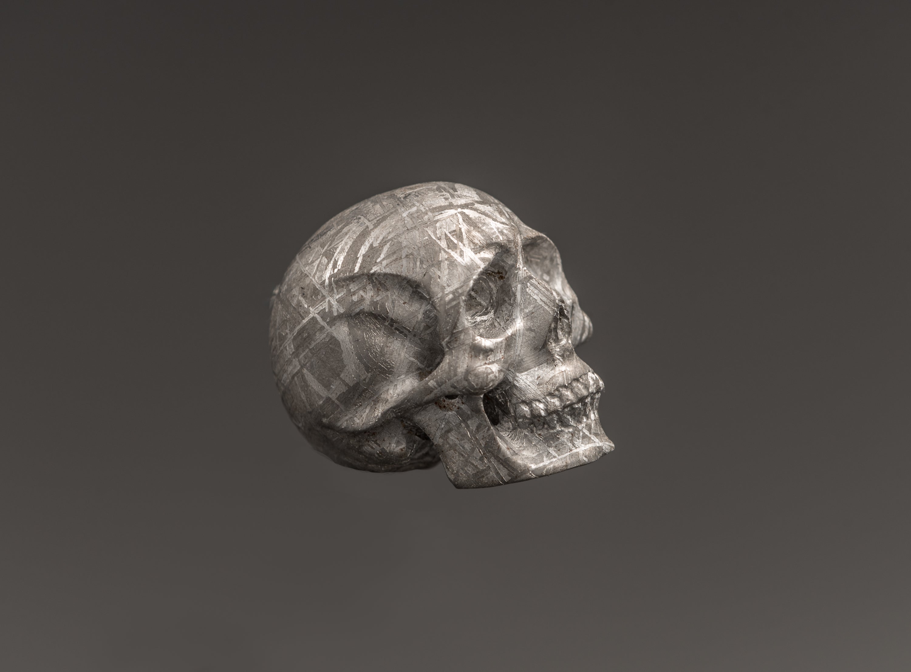 AMAZING Meteorite Skull