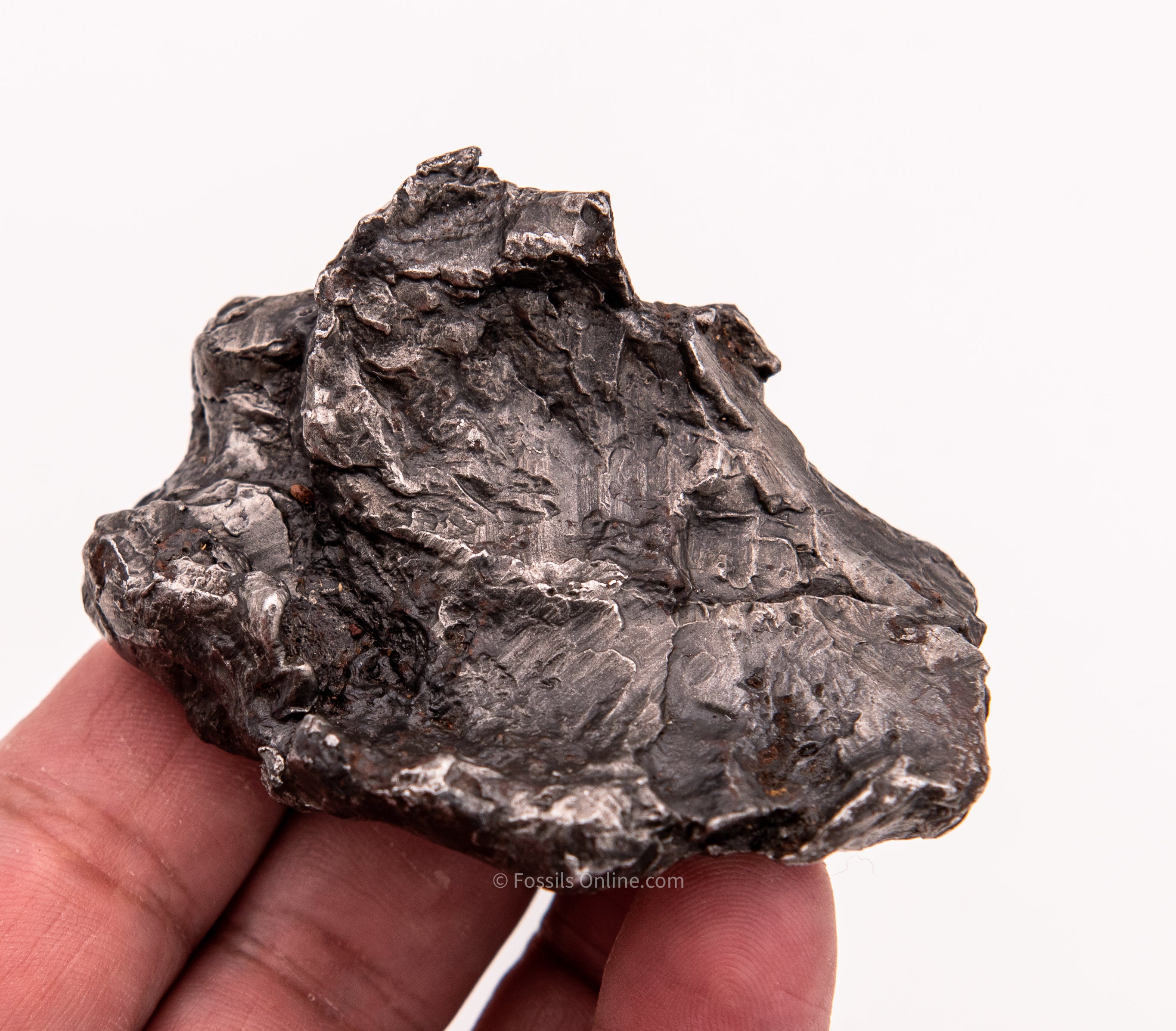 Sikhote-Alin Meteorite  310g