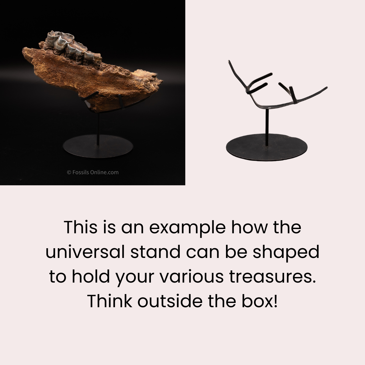 Double Cross - Universal Display Stand