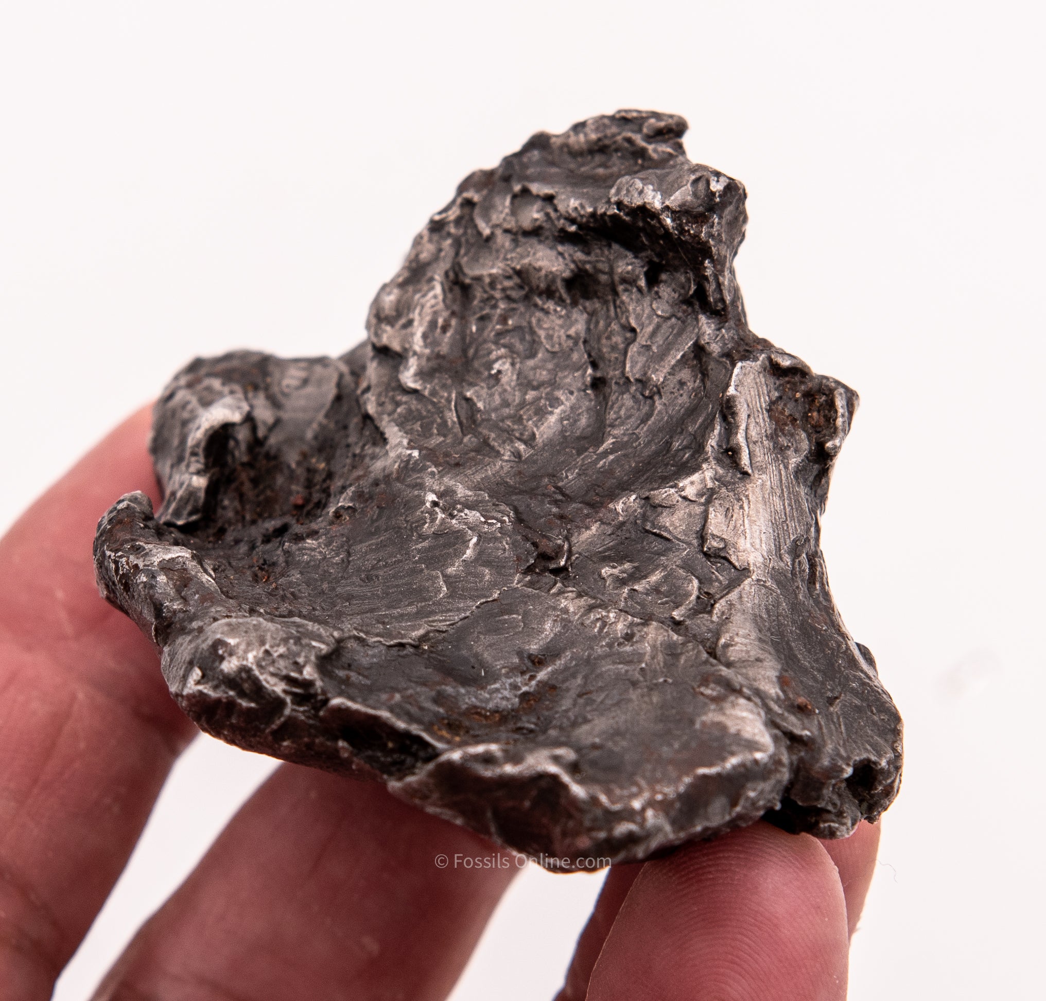 Sikhote-Alin Meteorite  310g