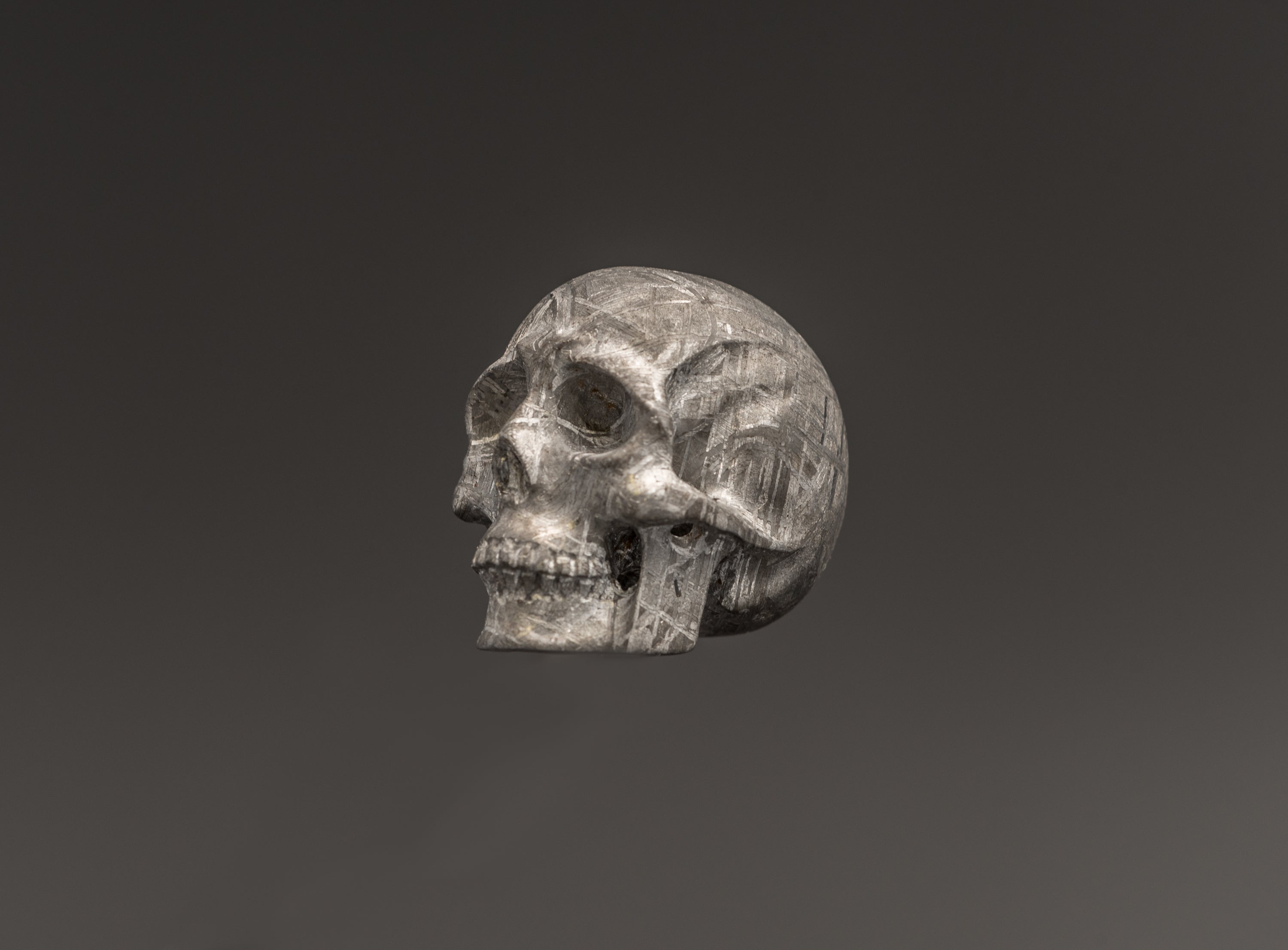 AMAZING Meteorite Skull