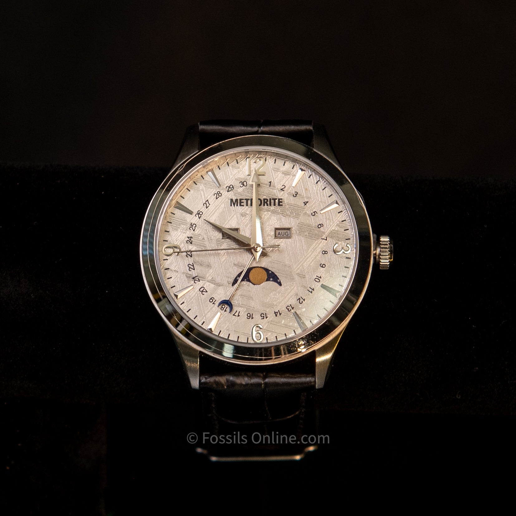 Muonionalusta Meteorite Watch