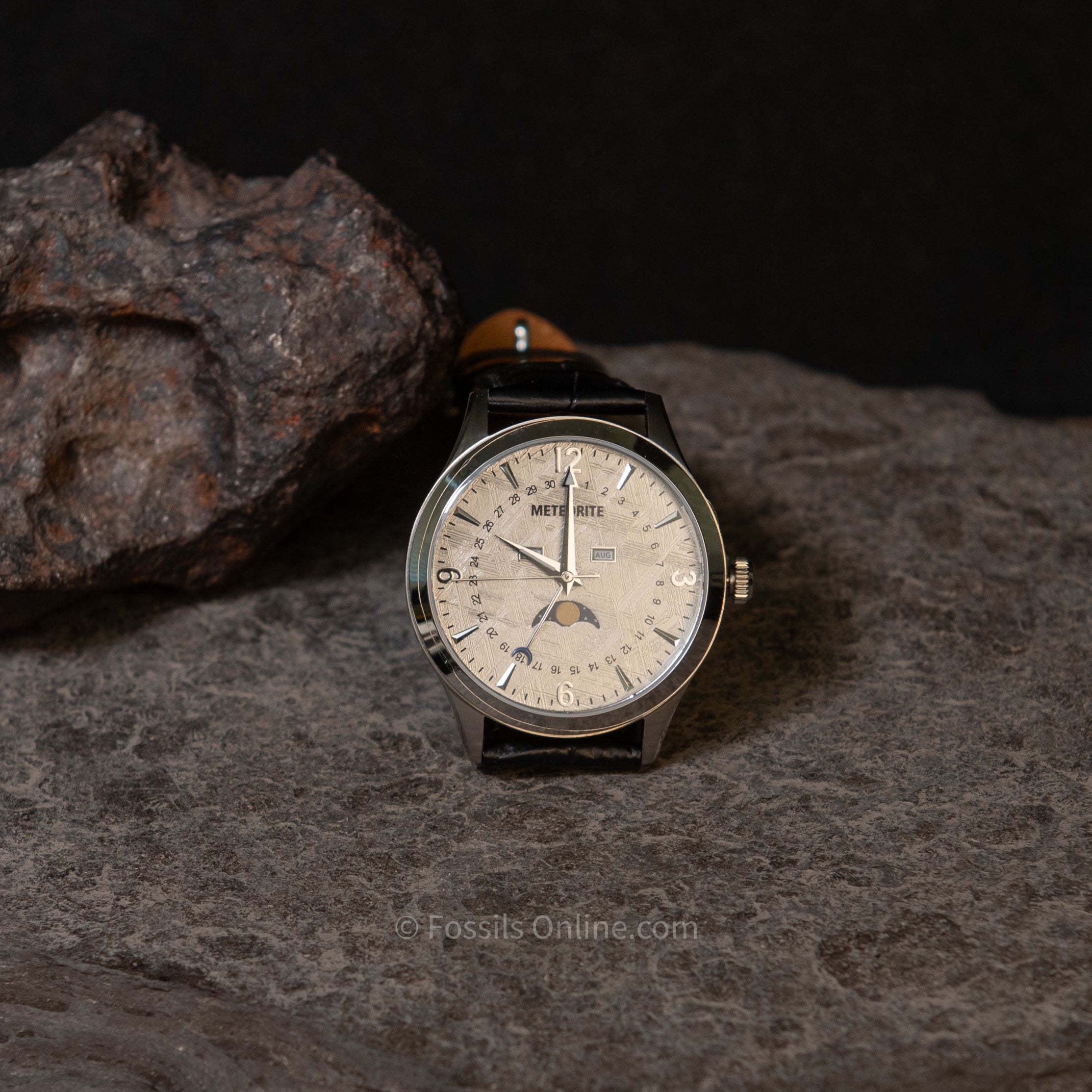 Muonionalusta Meteorite Watch