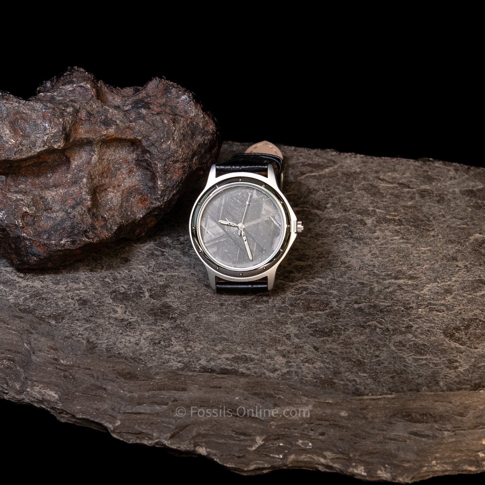 Muonionalusta Meteorite Watch