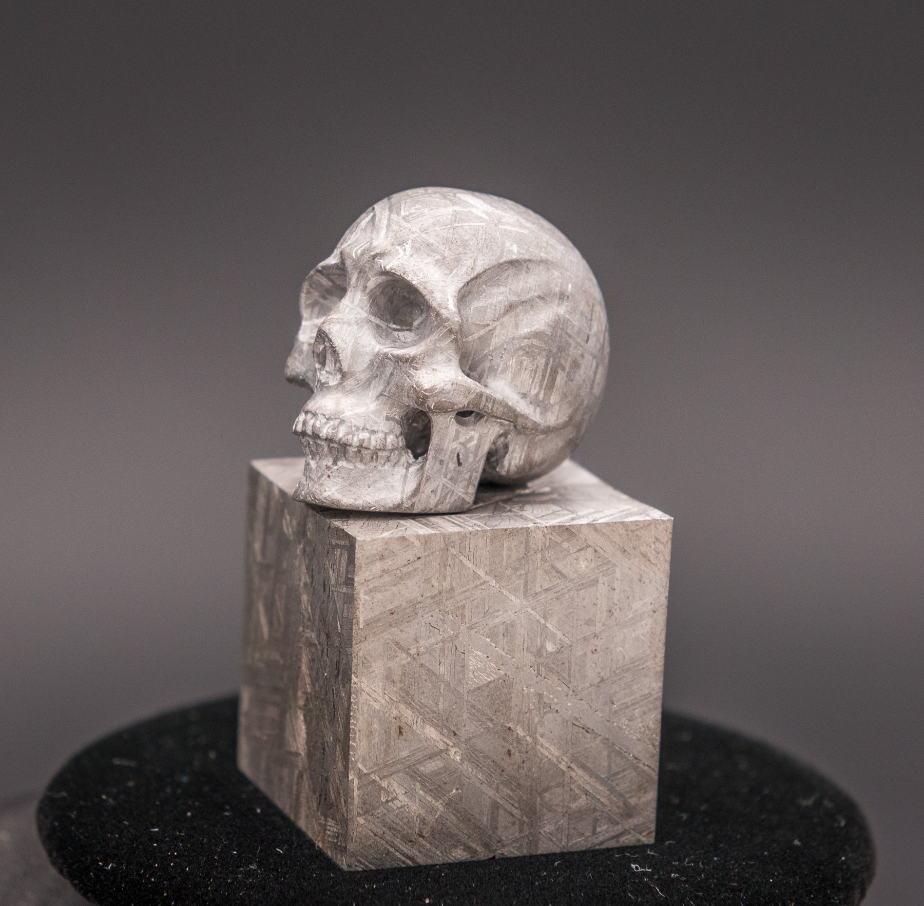 AMAZING Meteorite Skull