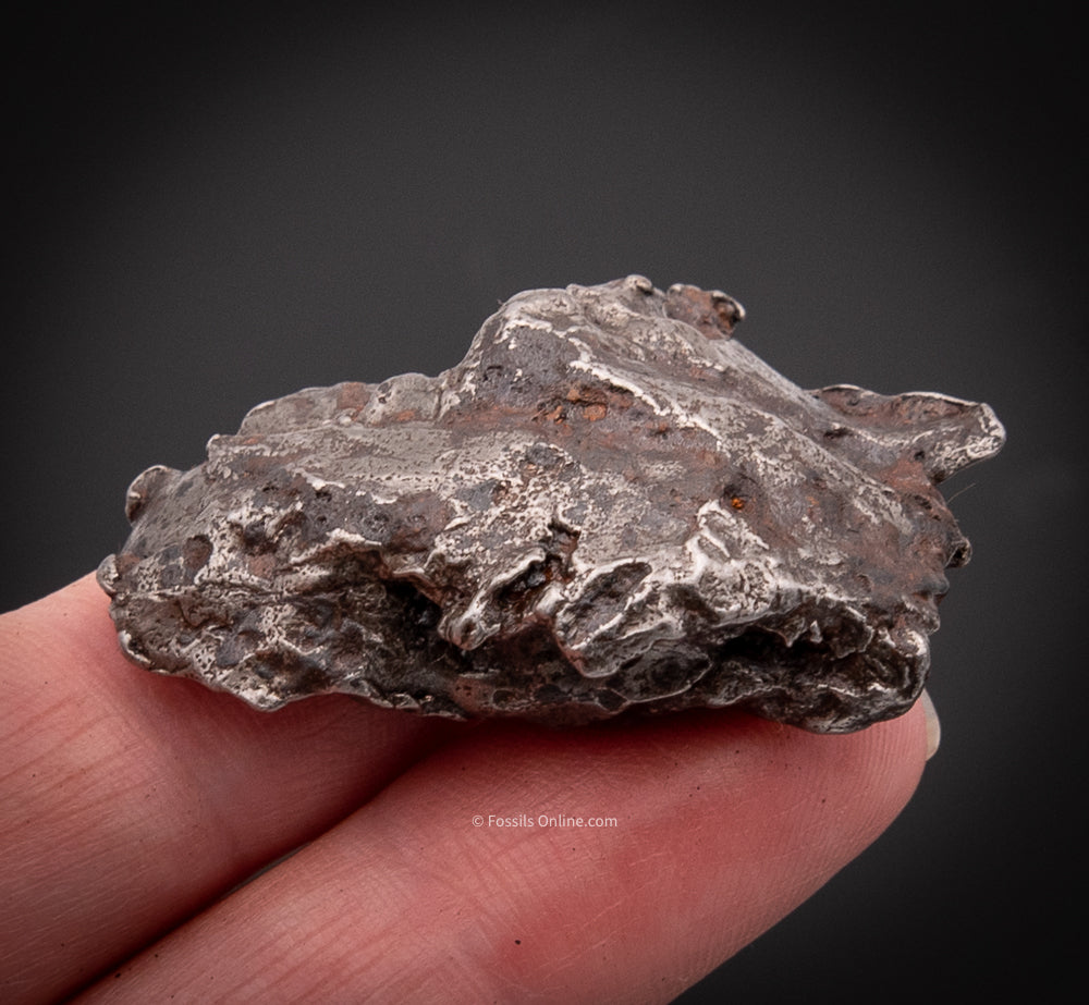 Sikhote-Alin Meteorite 37.2g