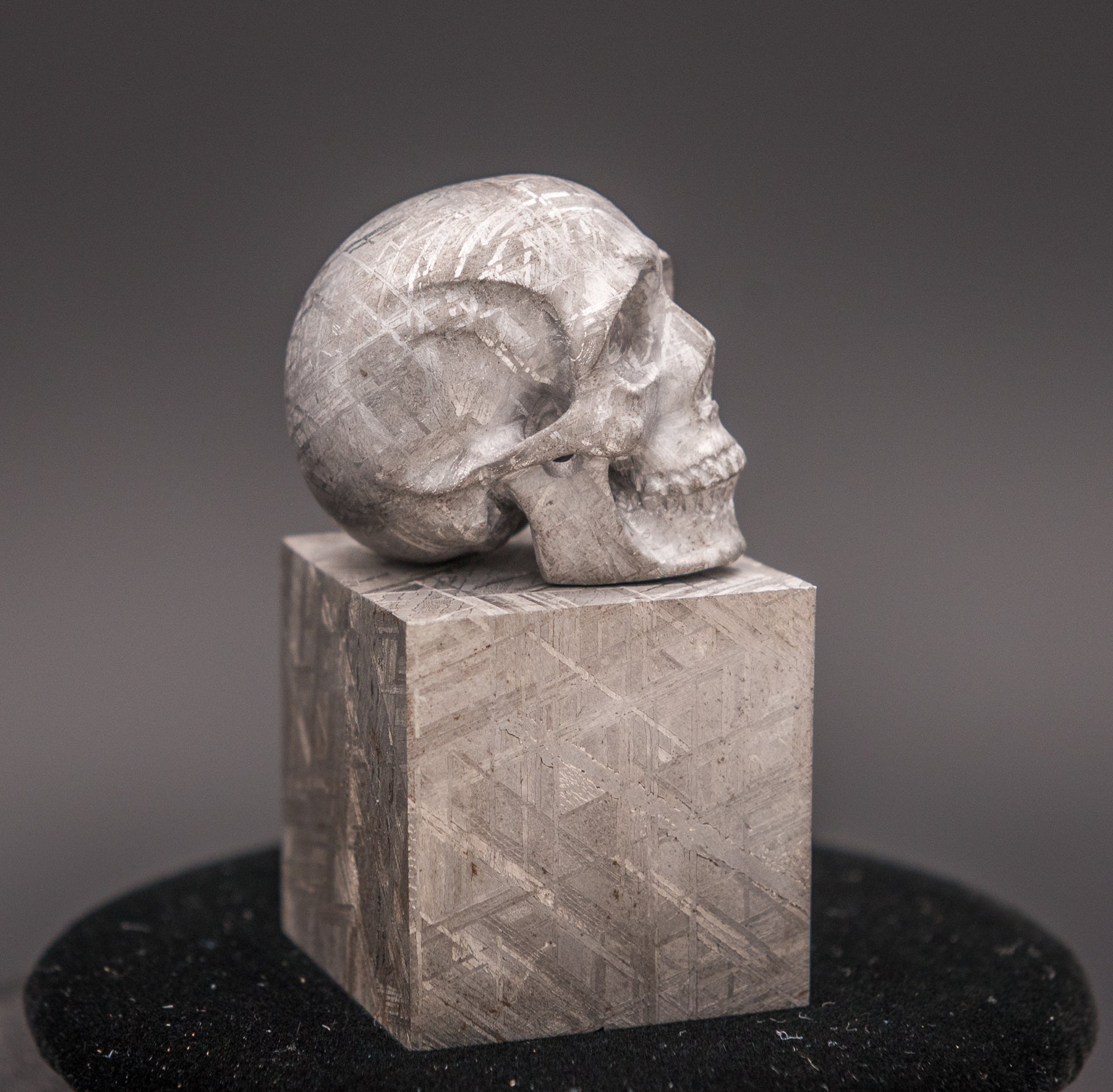 AMAZING Meteorite Skull