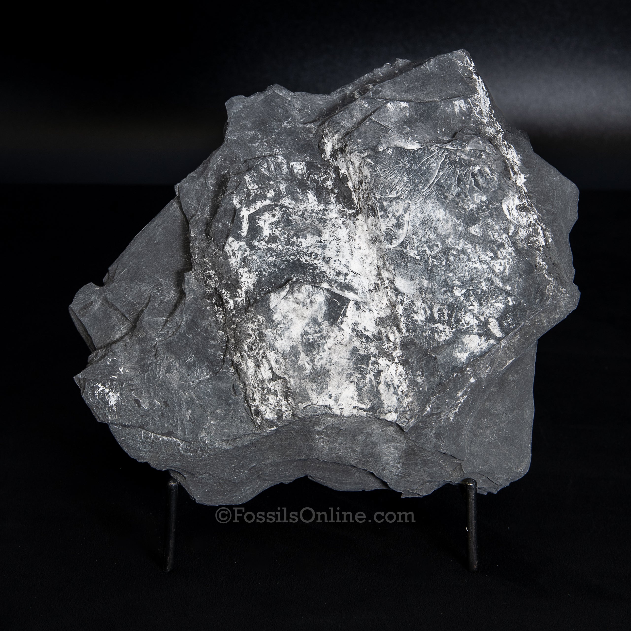 Large Pyrite Sun in Original Slate