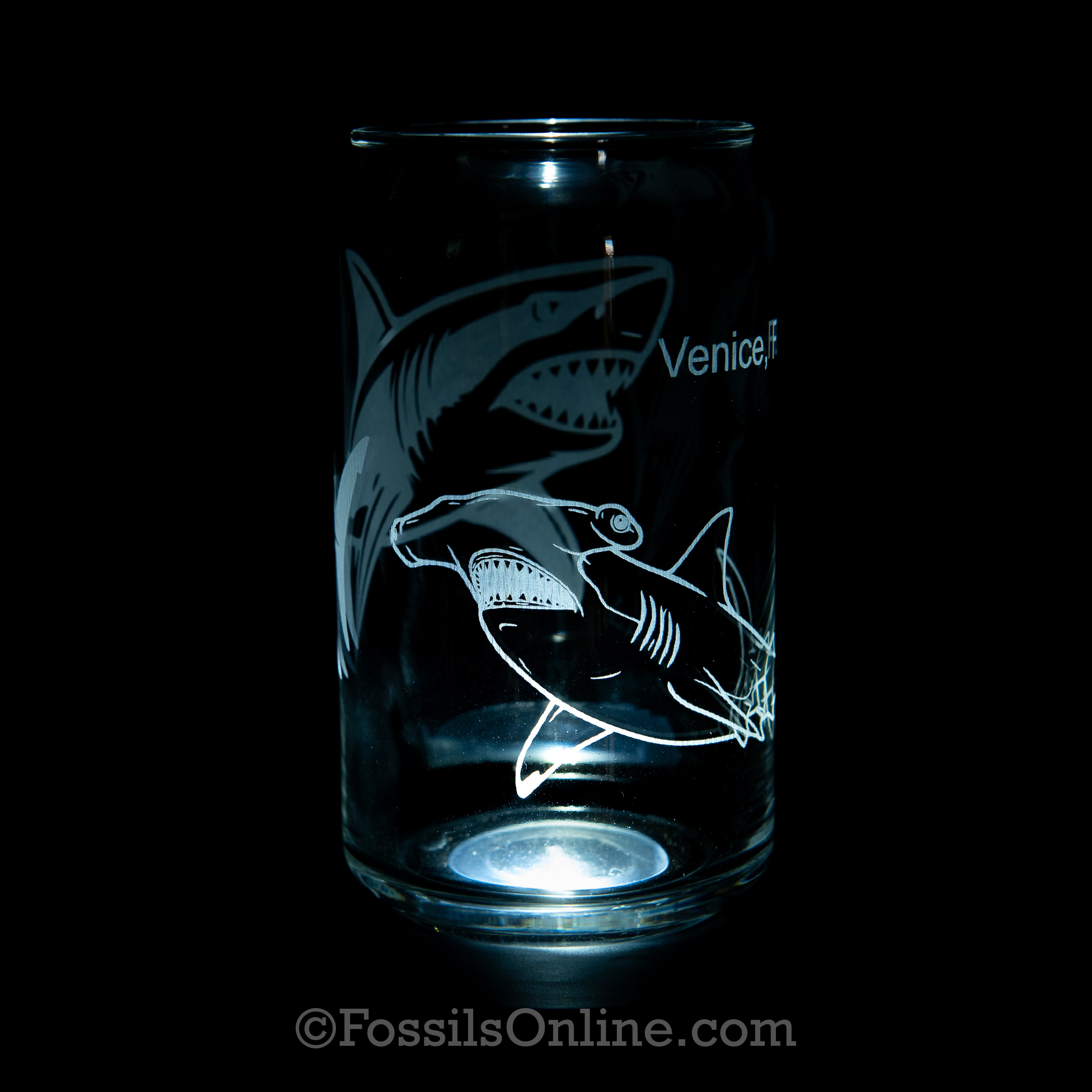 Venice, FL Shark Can Glass 16oz