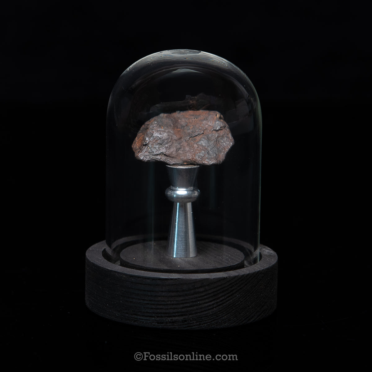 Genuine Canyon Diablo Meteorite in Glass Dome