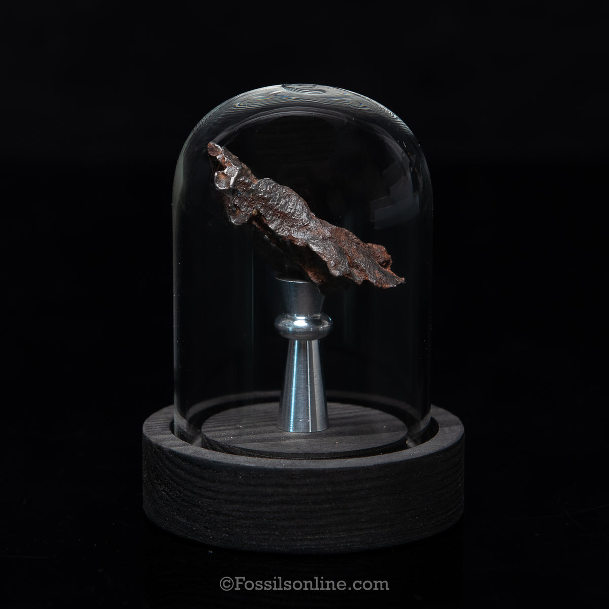 Genuine Gebel Kamil Meteorite in Glass Dome