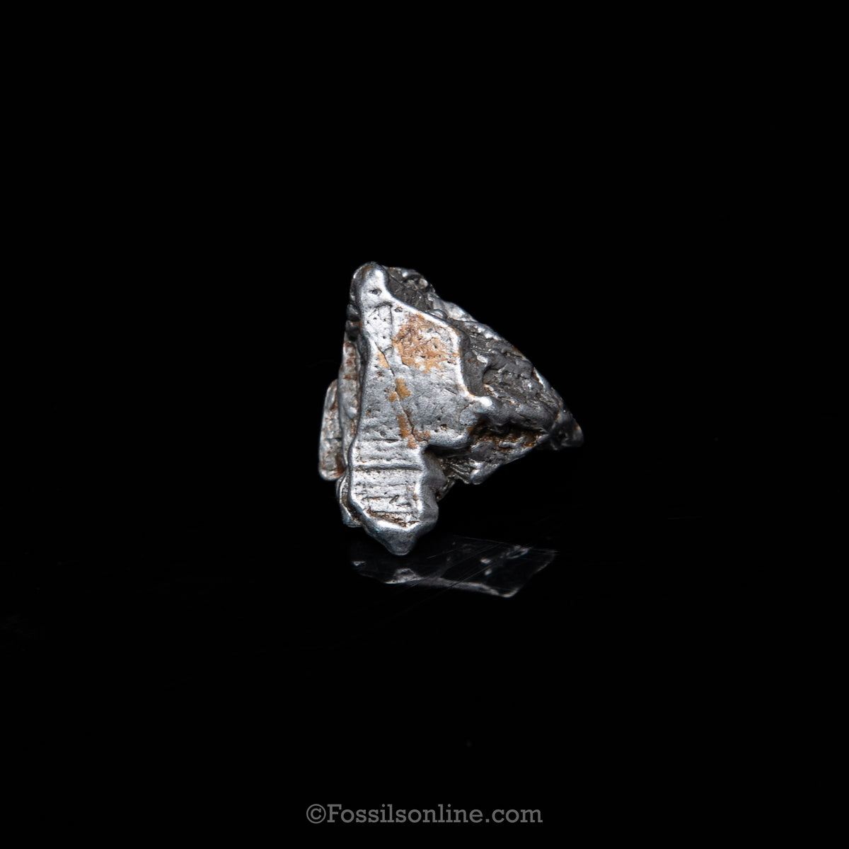 GENUINE Aletai Meteorite in a glass dome