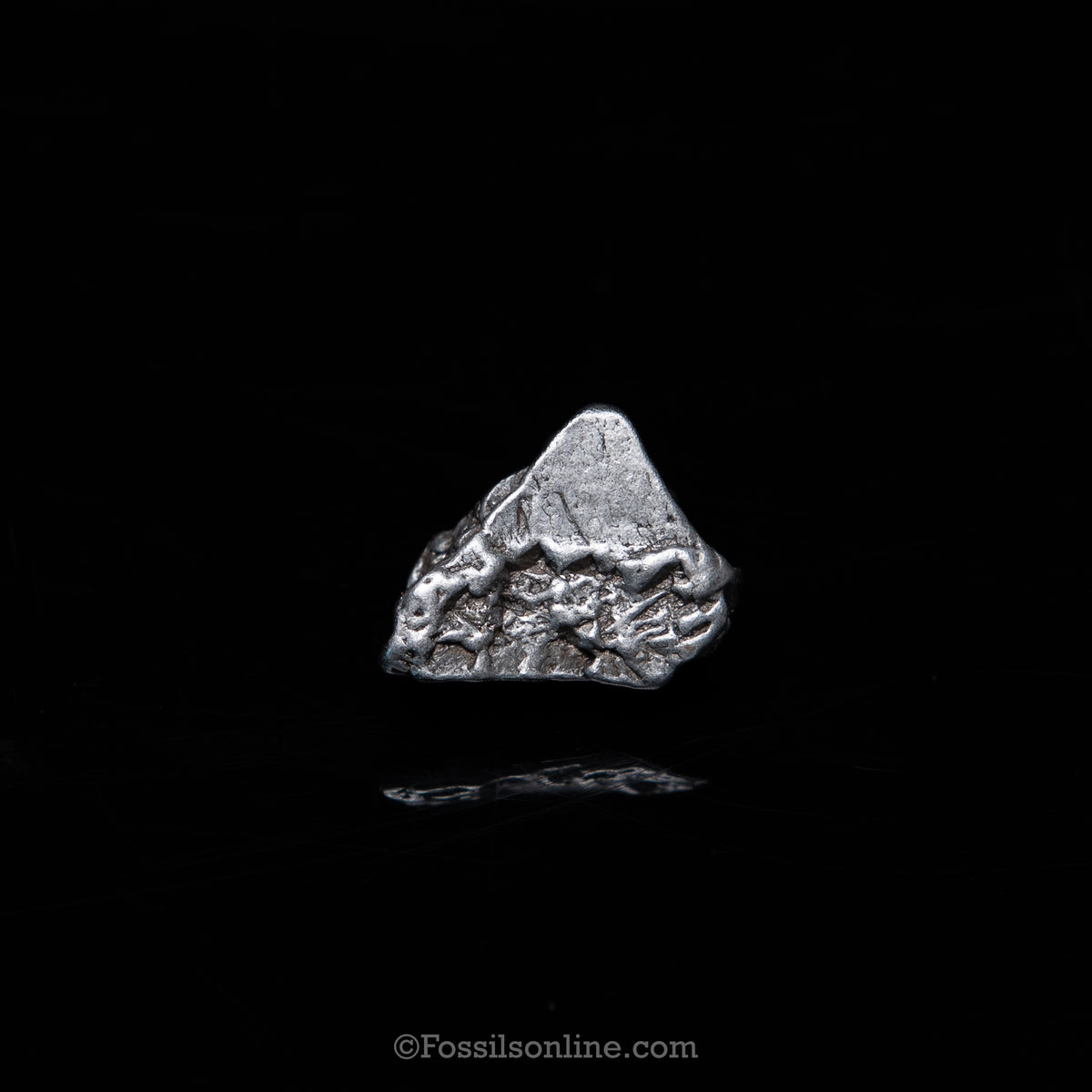GENUINE Aletai Meteorite in a glass dome