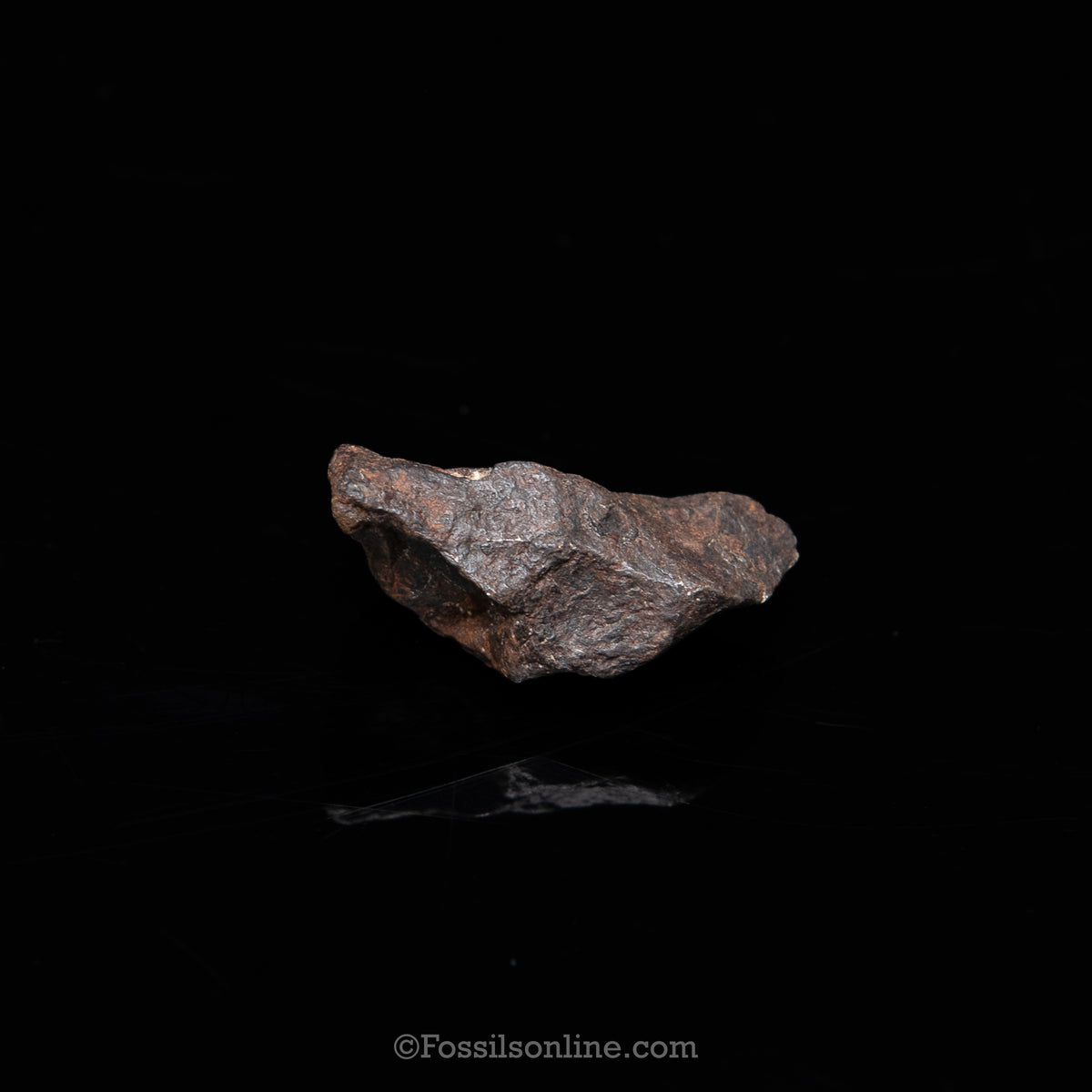 Genuine Canyon Diablo Meteorite in Glass Dome