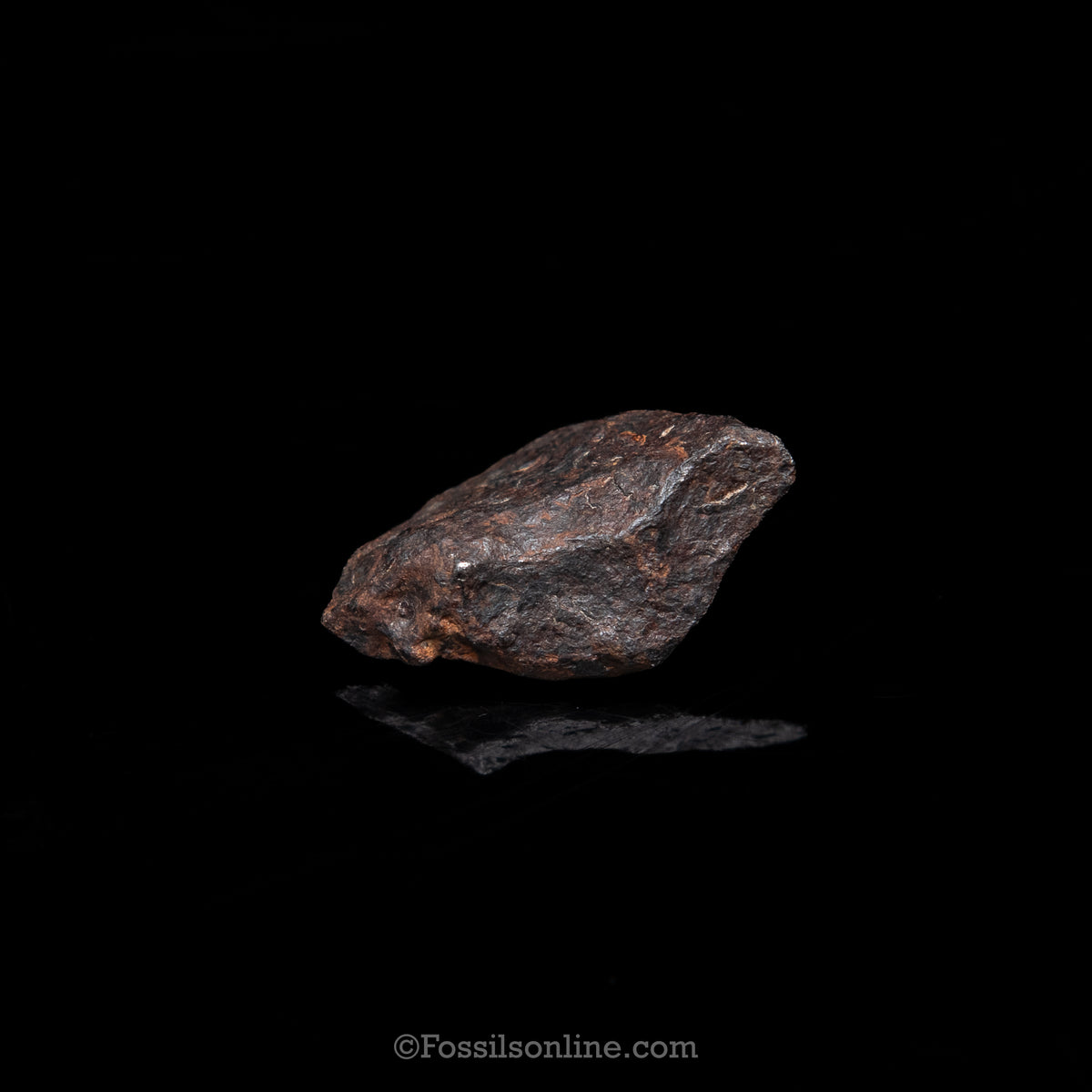 Genuine Canyon Diablo Meteorite in Glass Dome