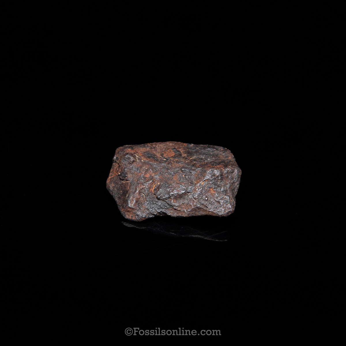 Genuine Canyon Diablo Meteorite in Glass Dome