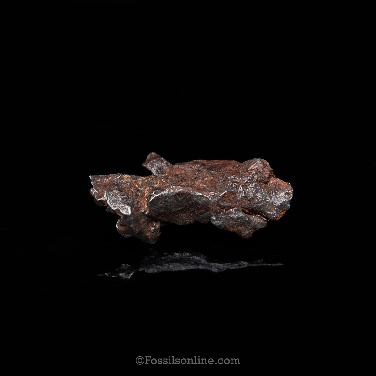 Genuine Gebel Kamil Meteorite in Glass Dome