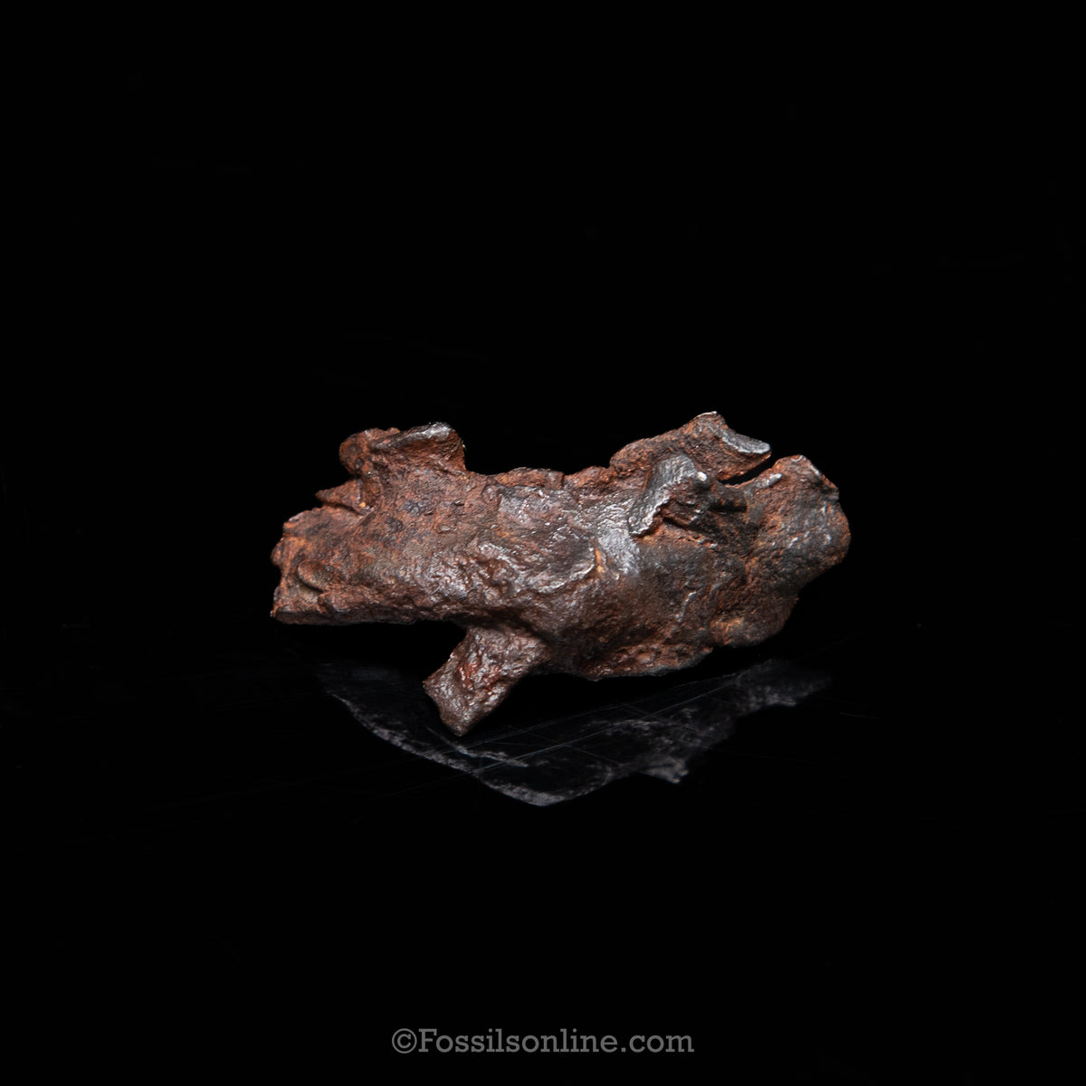Genuine Gebel Kamil Meteorite in Glass Dome