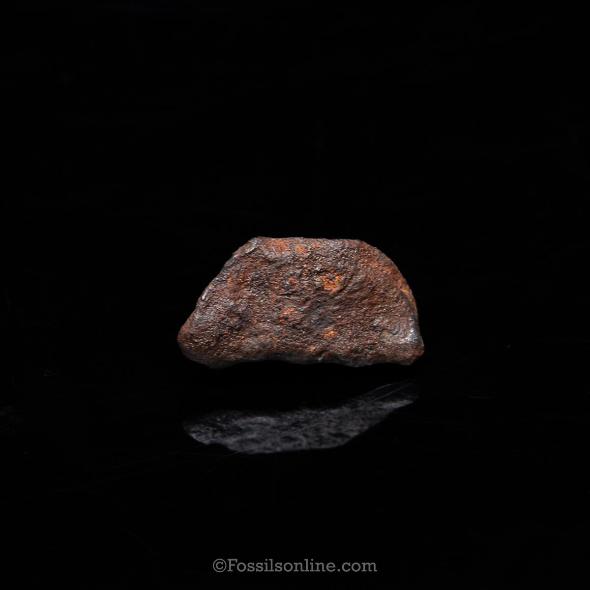 Genuine Gebel Kamil Meteorite in Glass Dome