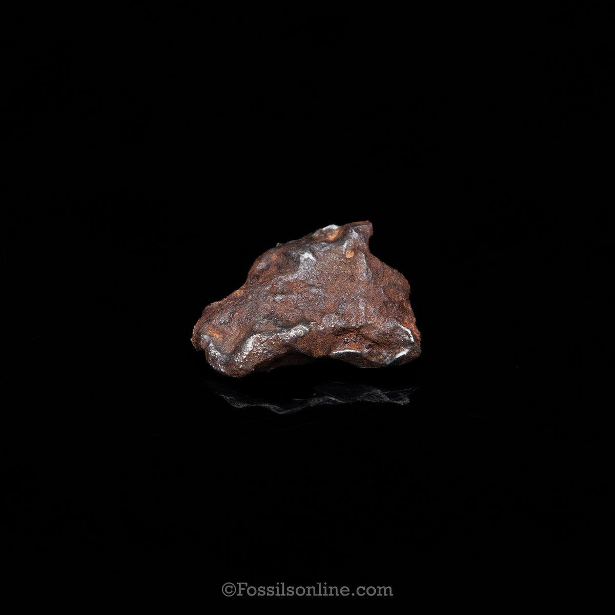 Genuine Gebel Kamil Meteorite in Glass Dome