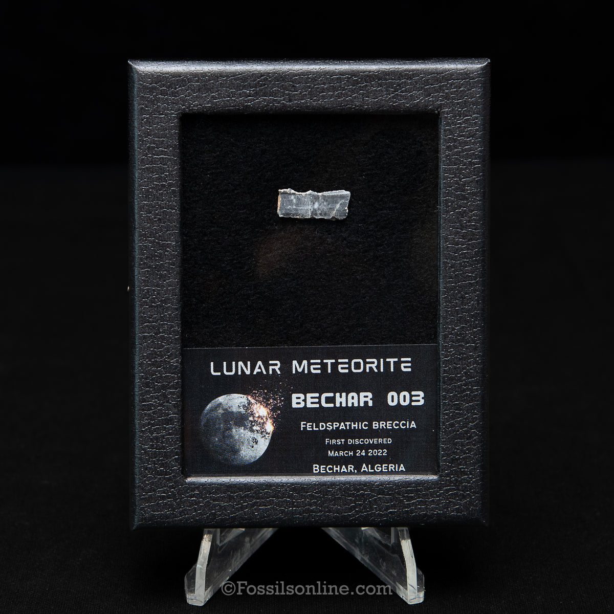 Bechar 003 Lunar Meteorite Slice