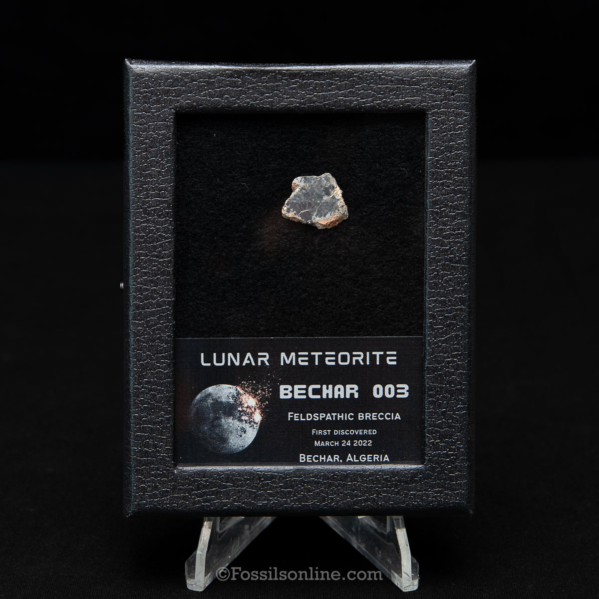 Bechar 003 Lunar Meteorite Slice