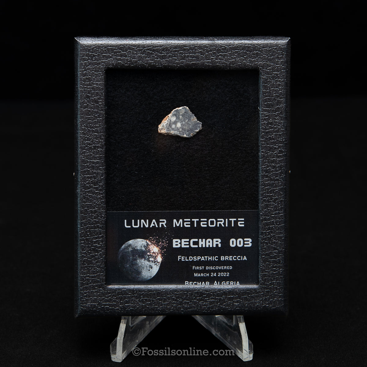 Bechar 003 Lunar Meteorite Slice