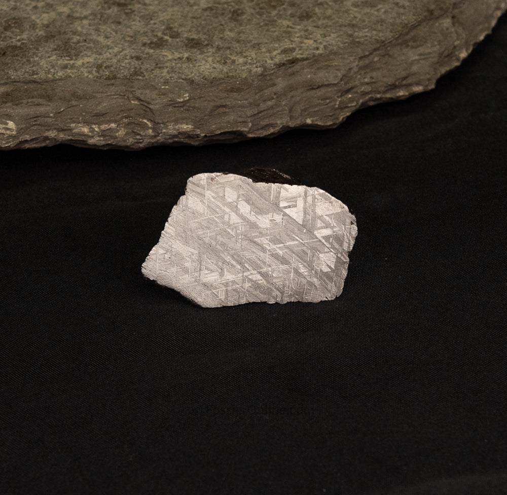 Muonionalusta Meteorite End Cut