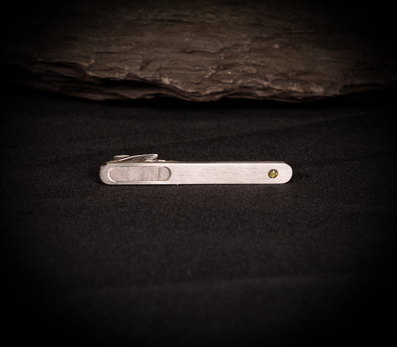 Muonionalusta Meteorite Tie Clip