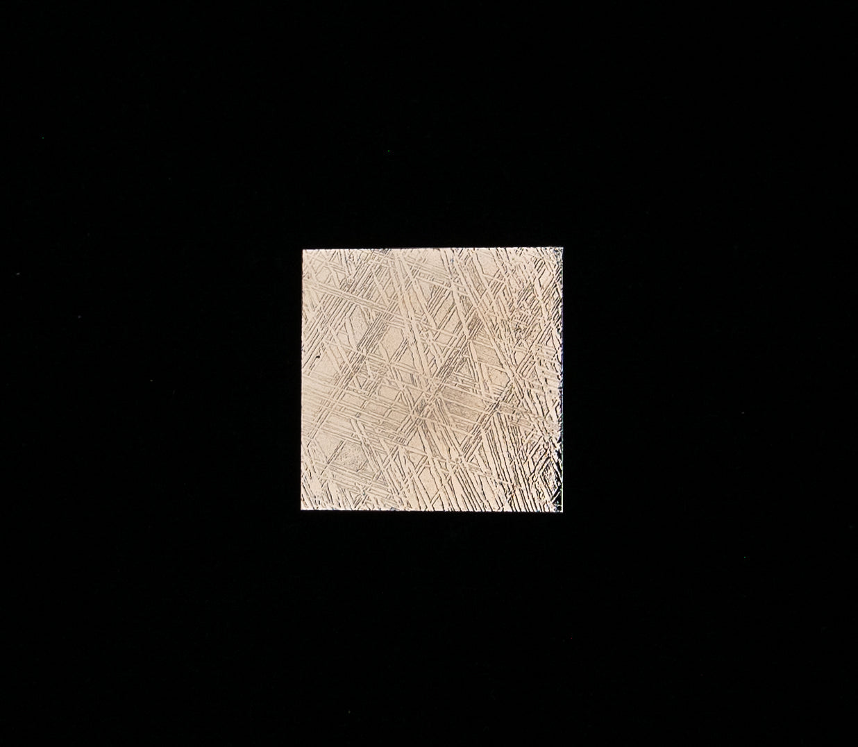 Muonionalusta Meteorite Square Slice