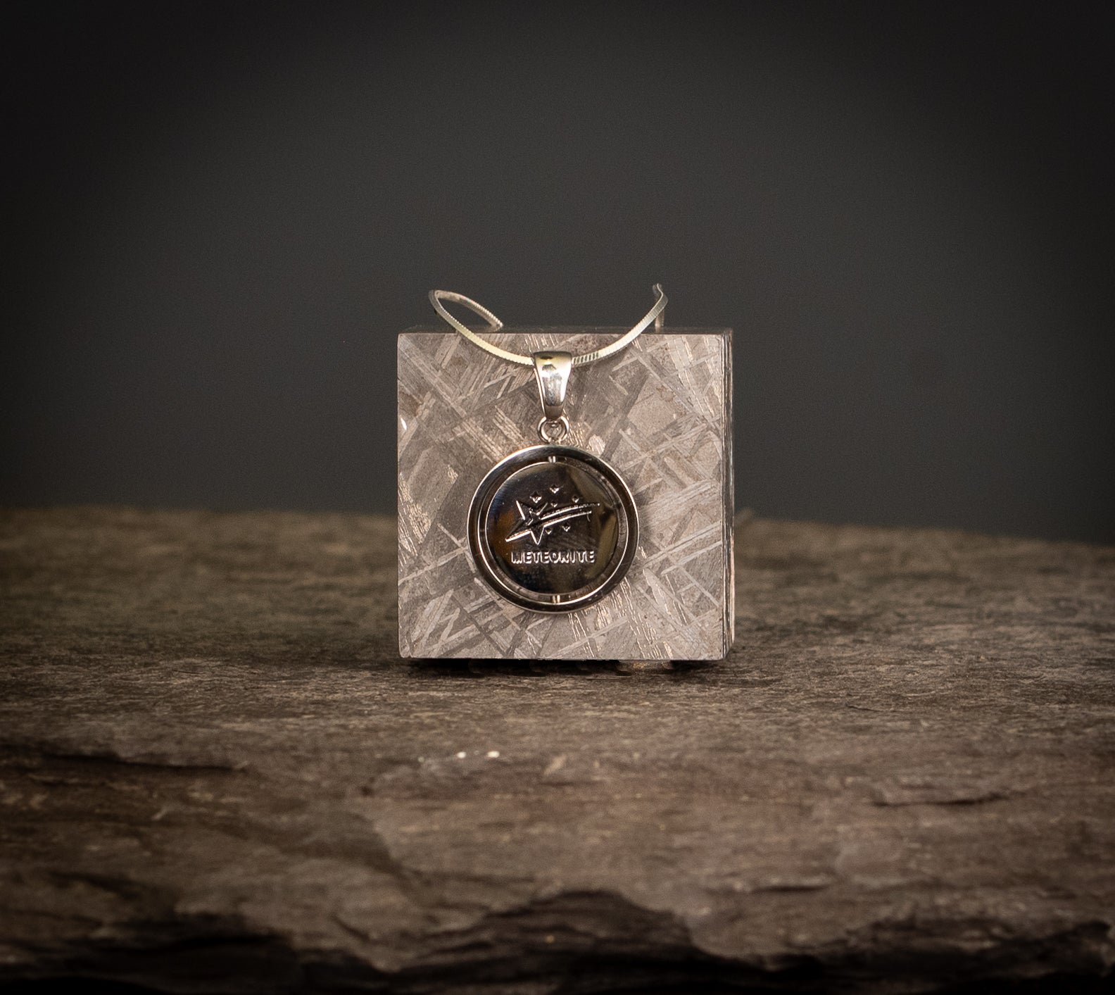 Muonionalusta Meteorite Pendant SST