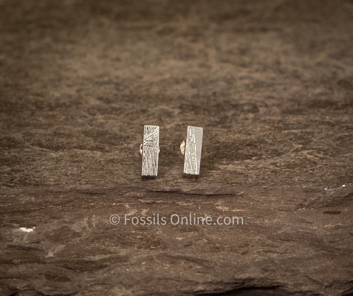 Muonionalusta Meteorite Stick Studs Earrings