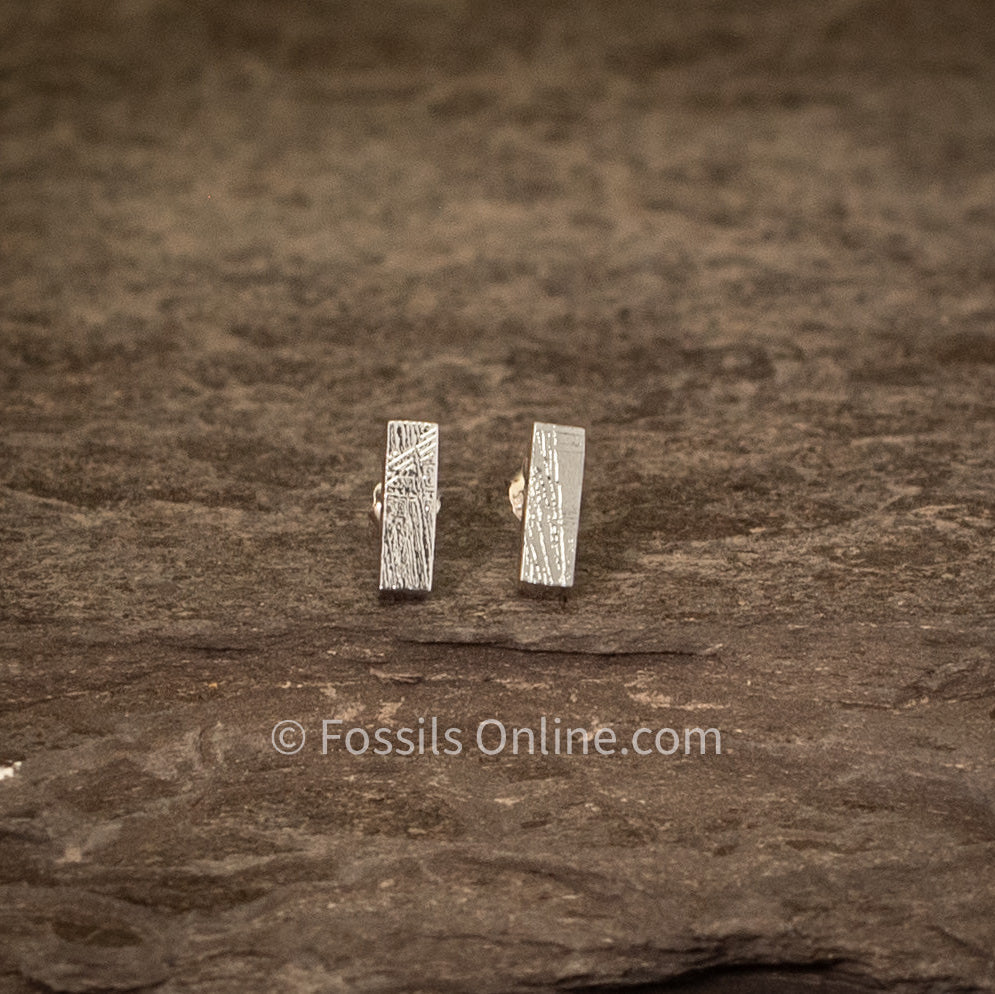 A pair ofMuonionalusta meteorite stick stud earrings displaying the Widmanstätten pattern, placed on a textured grey background.