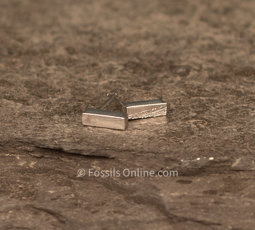 Muonionalusta Meteorite Stick Studs Earrings