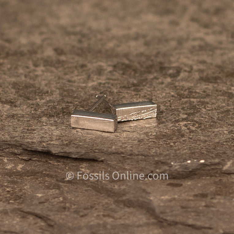 Muonionalusta Meteorite Stick Studs Earrings