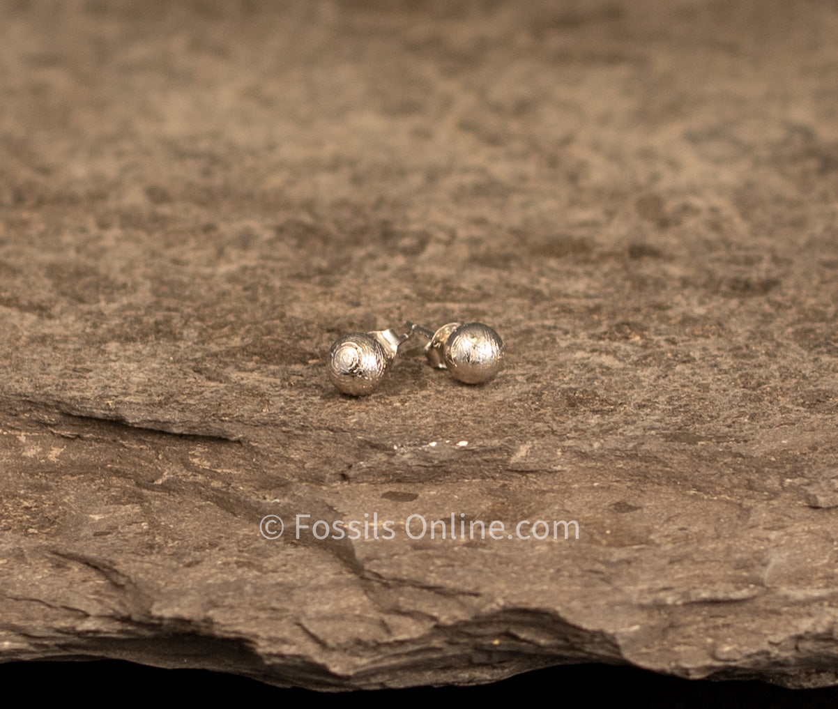 Muonionalusta Meteorite Bead Studs