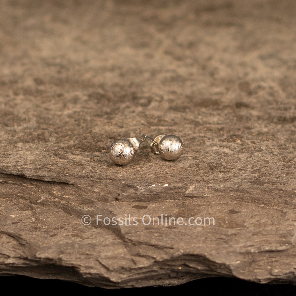 Muonionalusta Meteorite Bead Studs
