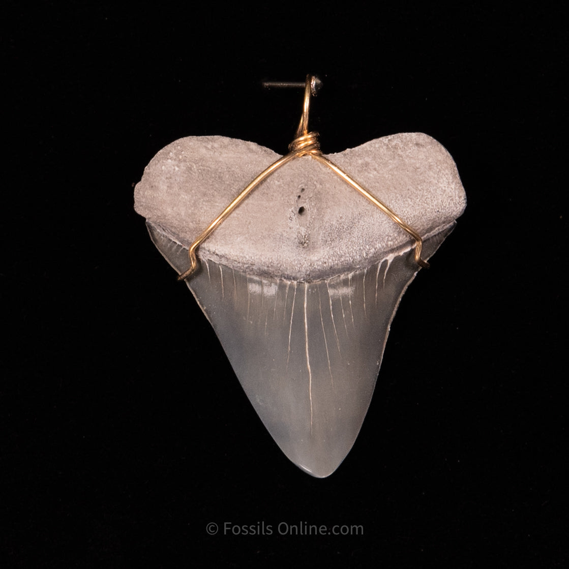 Fossil Jewelry Pendant