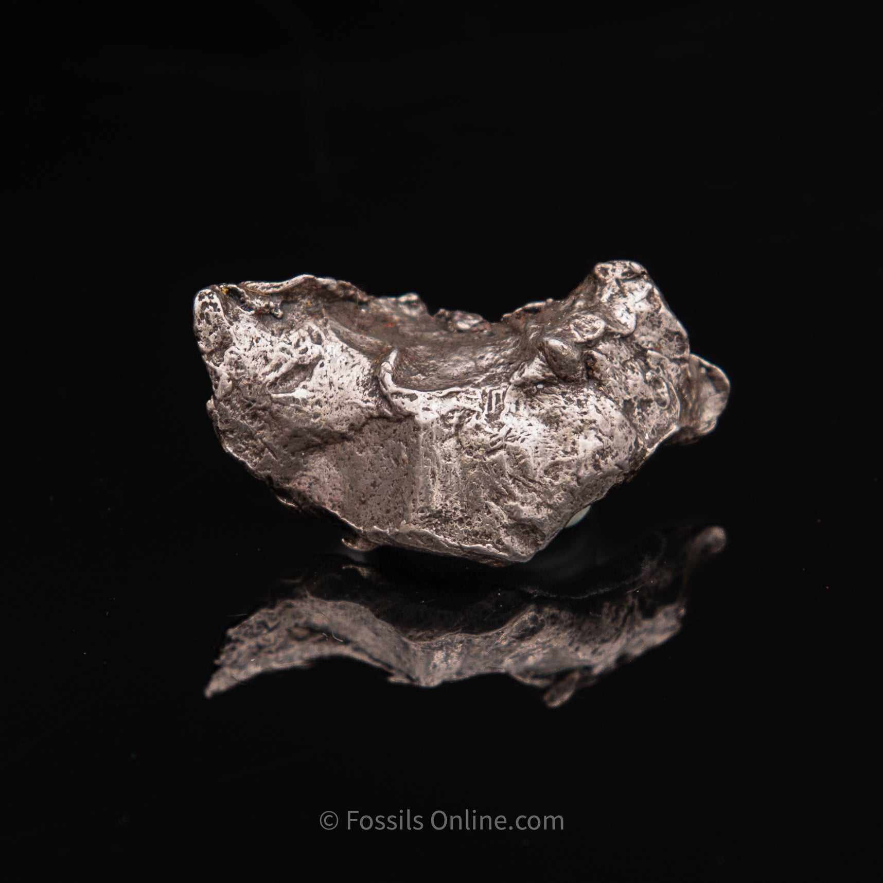 Sikhote-Alin Meteorite 20.2g