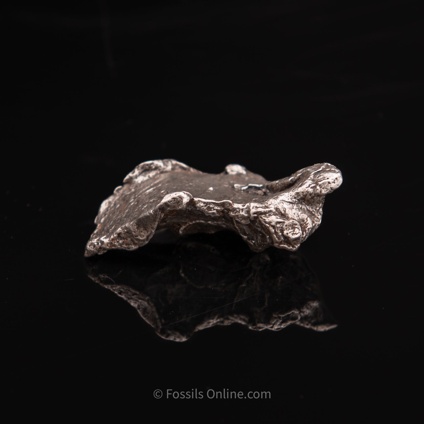 Sikhote-Alin Meteorite 20.2g