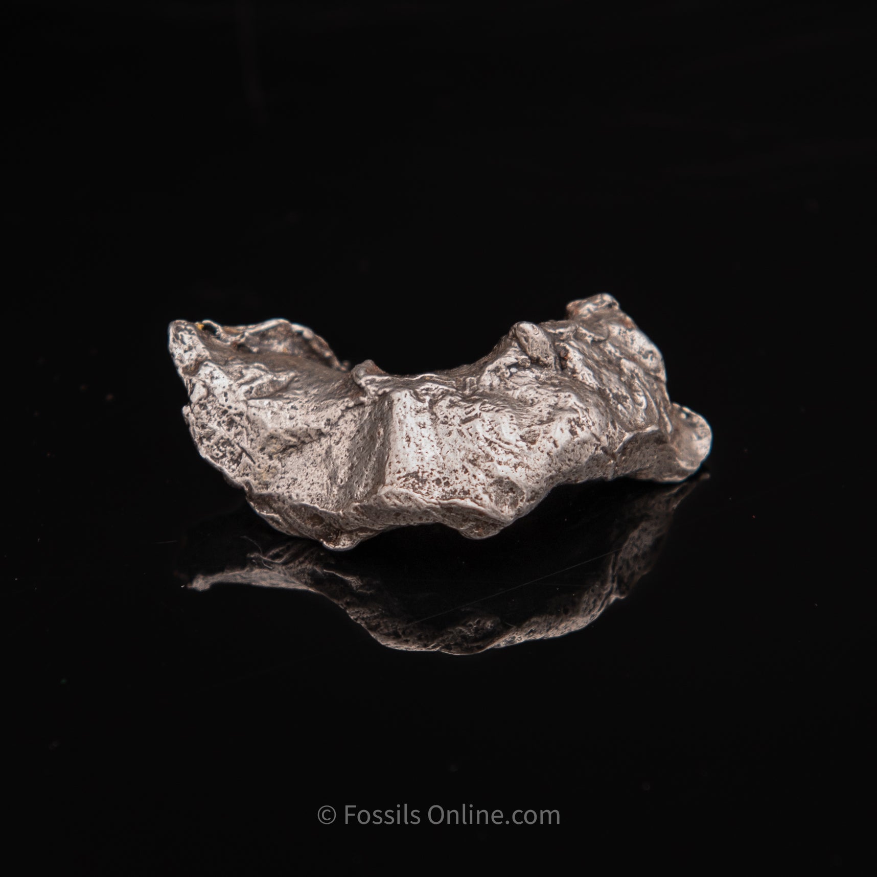 Sikhote-Alin Meteorite 20.2g