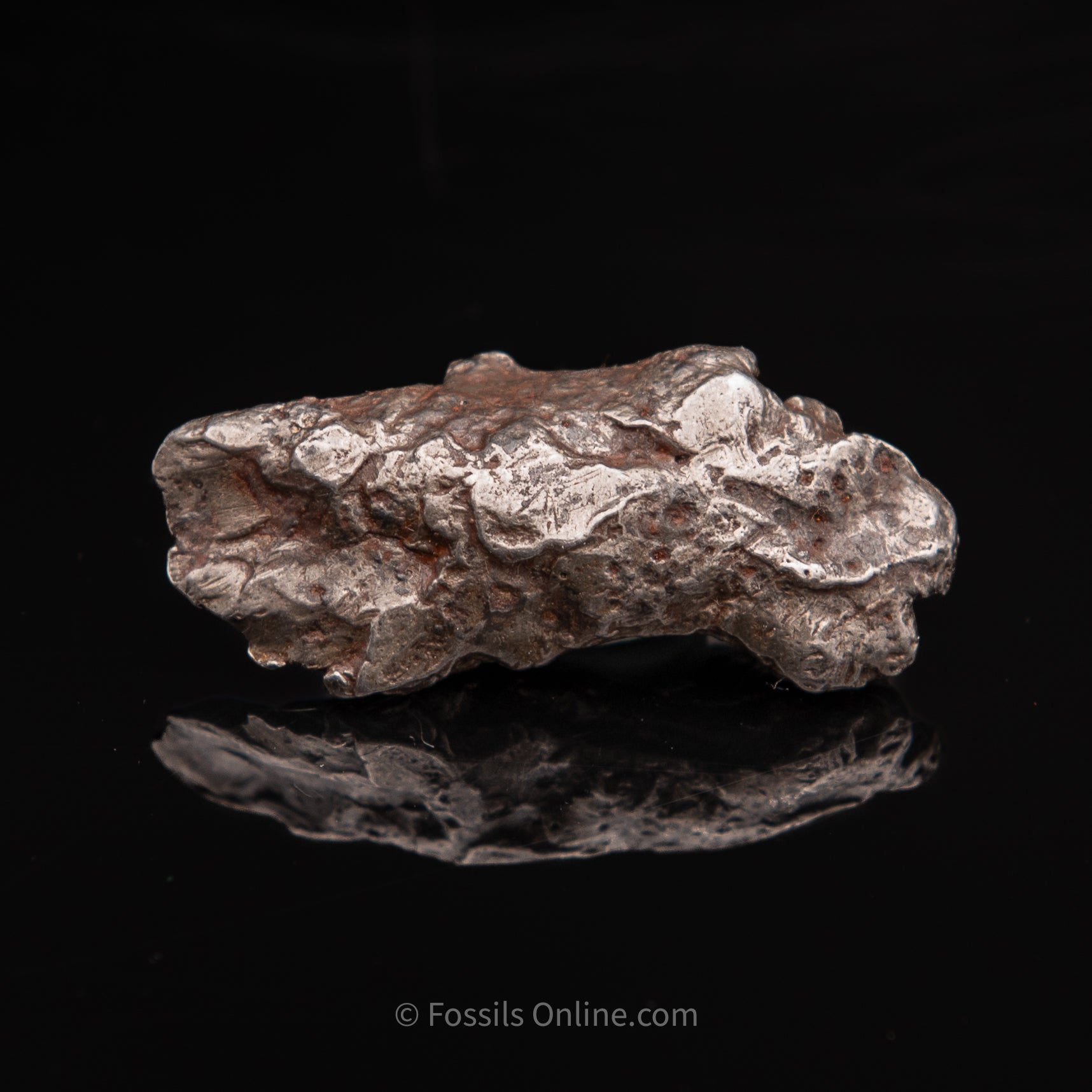Sikhote-Alin Meteorite 31.5g