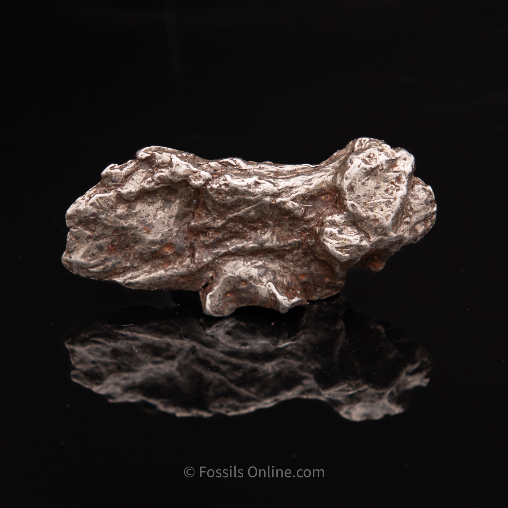 Sikhote-Alin Meteorite 31.5g