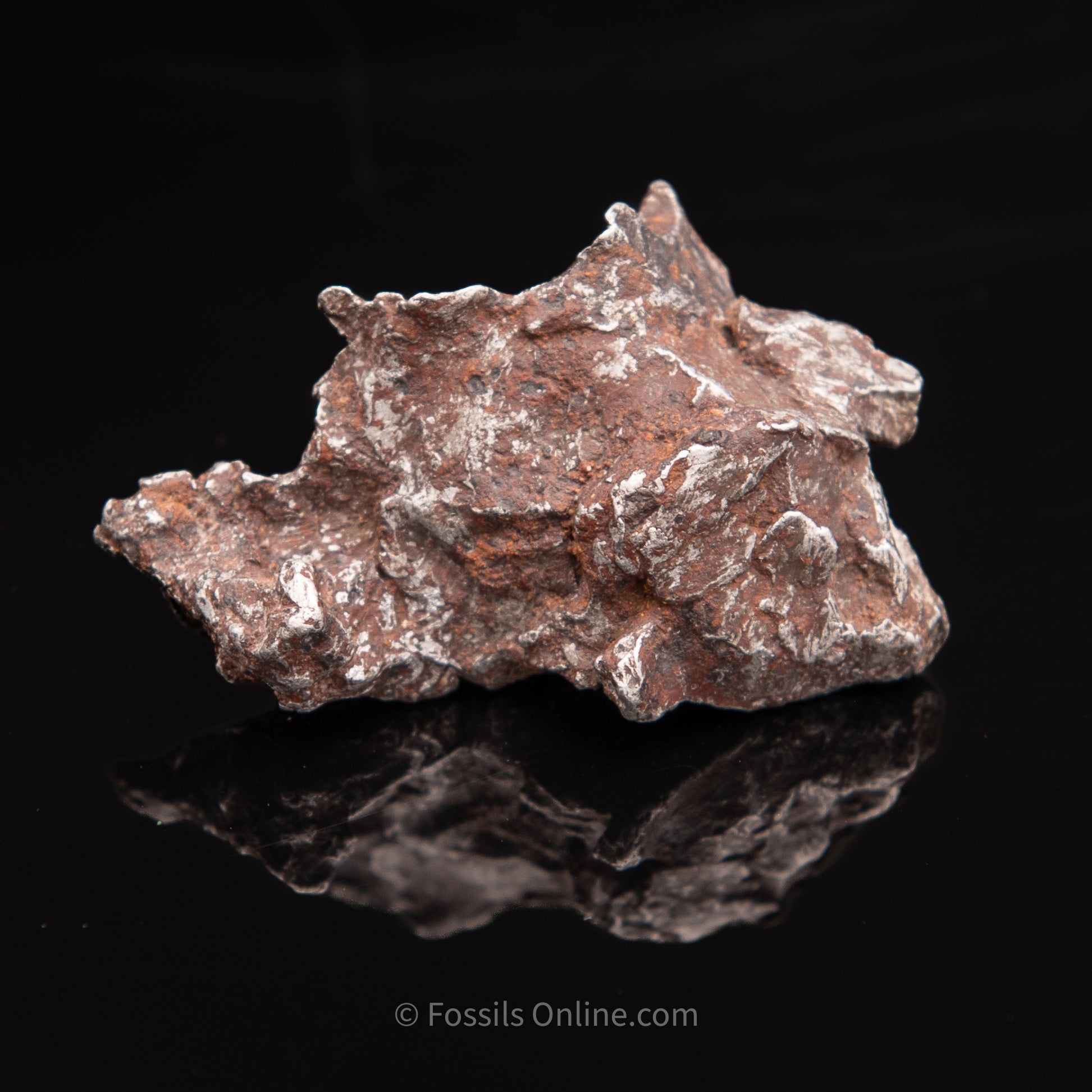 Sikhote-Alin Meteorite 67.3g