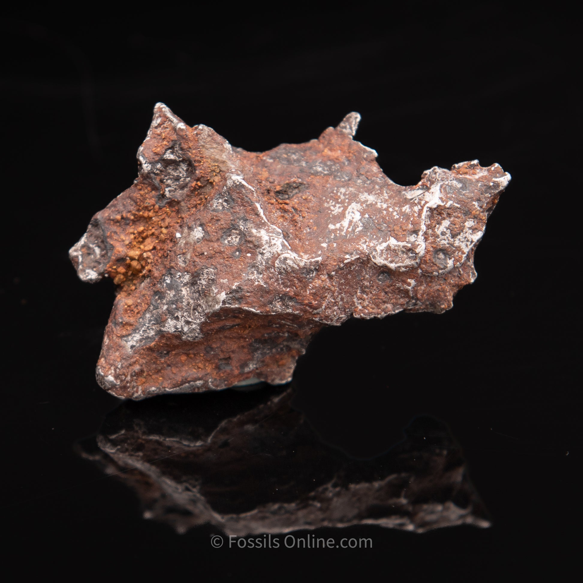 Sikhote-Alin Meteorite 67.3g