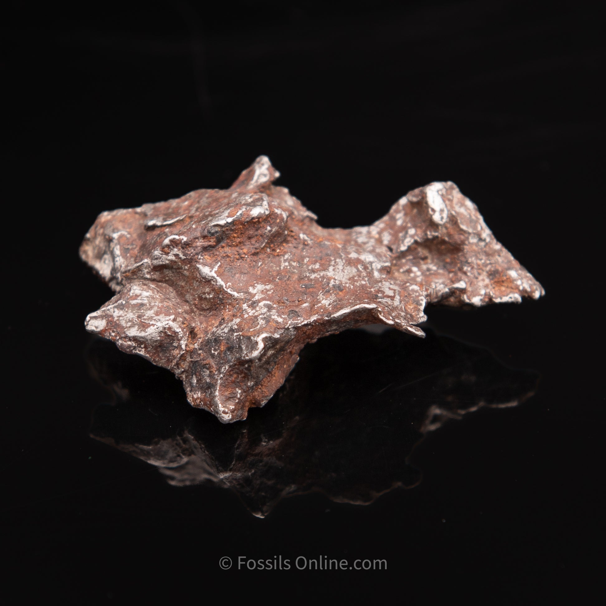 Sikhote-Alin Meteorite 67.3g