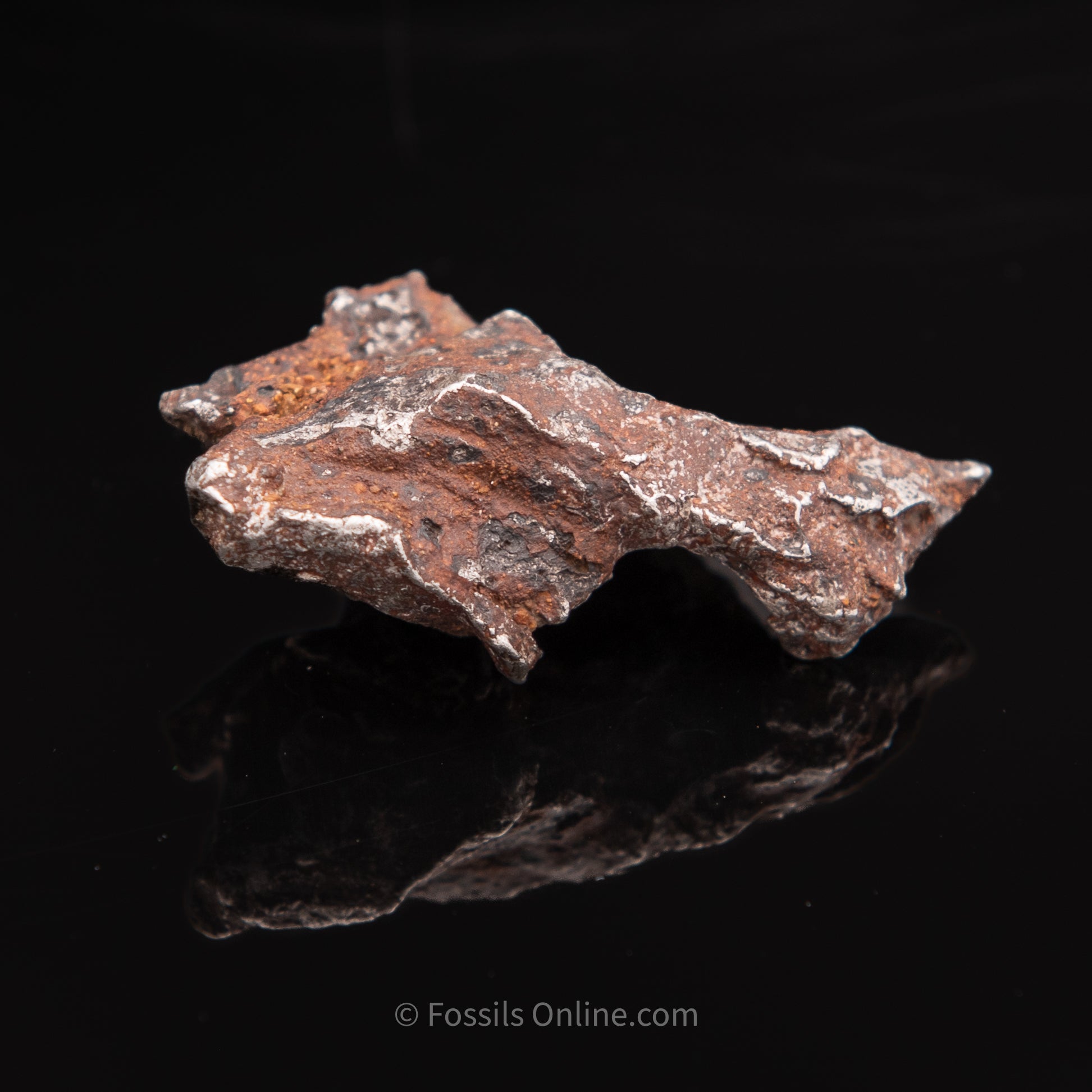 Sikhote-Alin Meteorite 67.3g