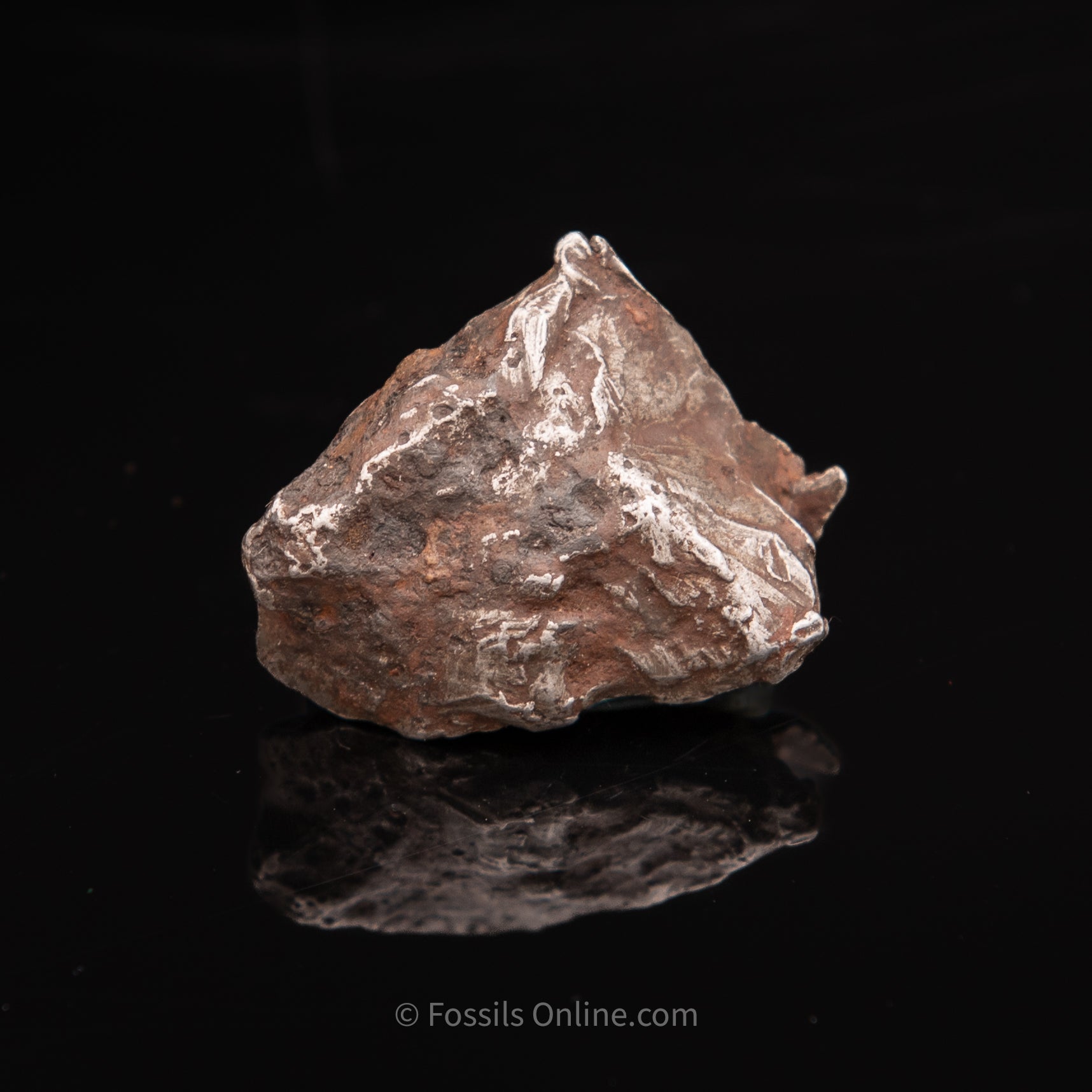 Sikhote-Alin Meteorite 31.2g