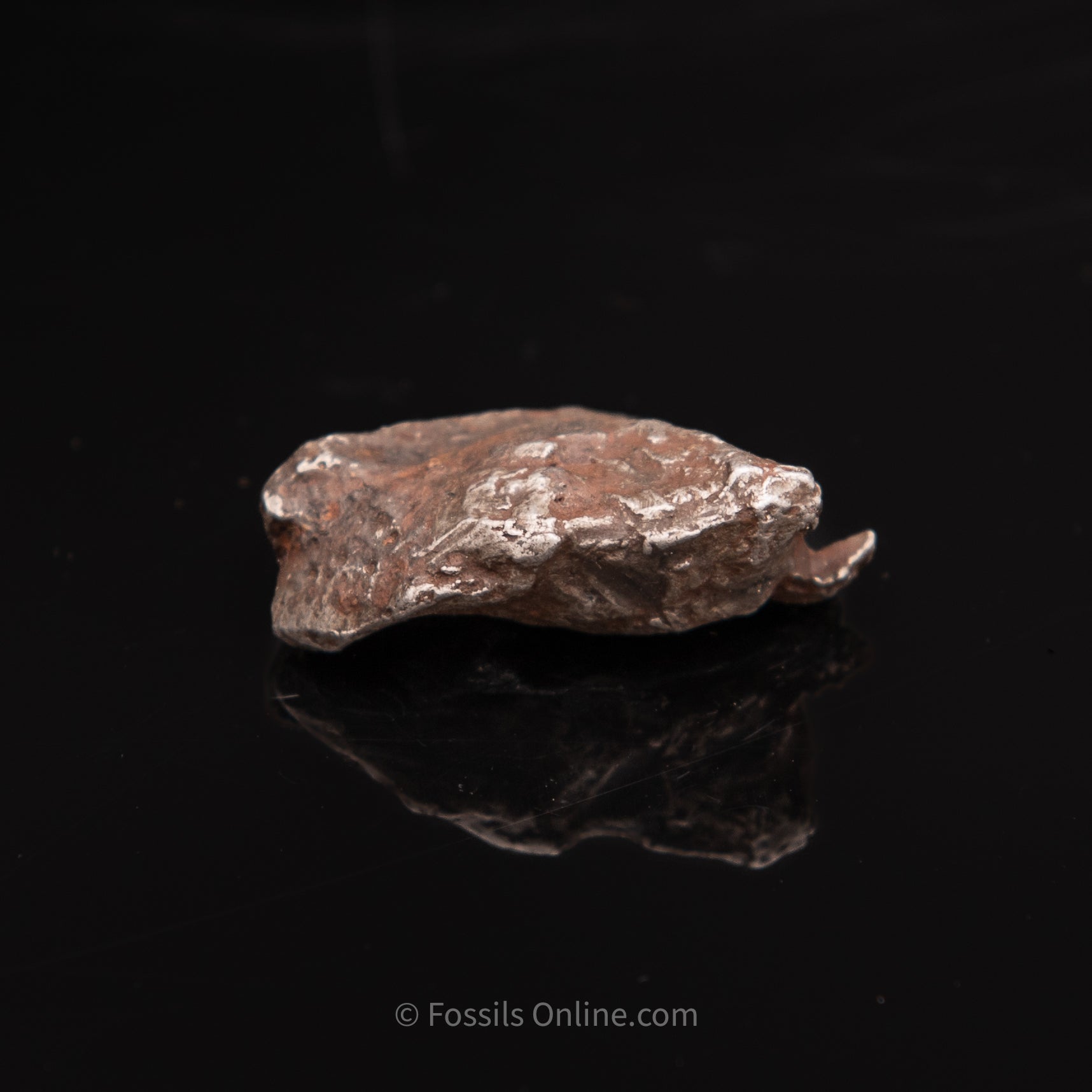Sikhote-Alin Meteorite 31.2g