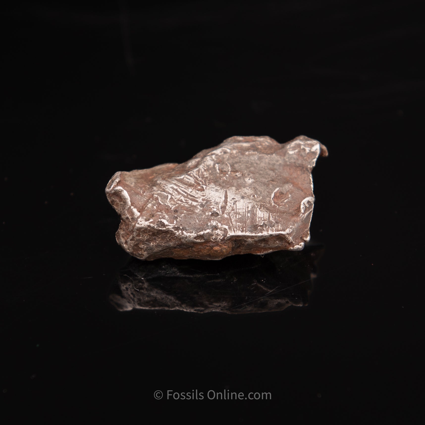 Sikhote-Alin Meteorite 31.2g